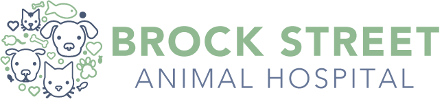 BrockStreet-logo-colour