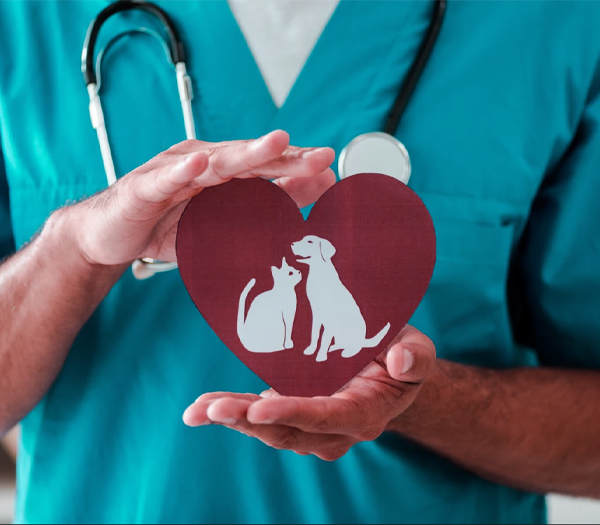 Brock Street Animal Hospital